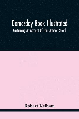 bokomslag Domesday Book Illustrated