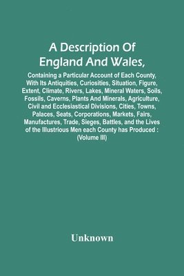 bokomslag Description Of England And Wales, Containing A Particular Account Of Each County, With Its Antiquities, Curiosities, Situation, Figure, Extent, Climate, Rivers, Lakes, Mineral Waters, Soils, Fossil...
