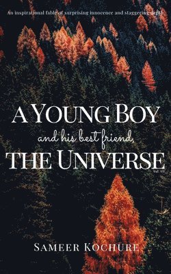 bokomslag A Young Boy And His Best Friend, The Universe. Vol. VII