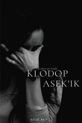 bokomslag Klodop Asek'ik