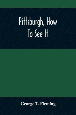 bokomslag Pittsburgh, How To See It