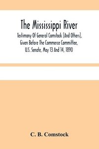 bokomslag The Mississippi River
