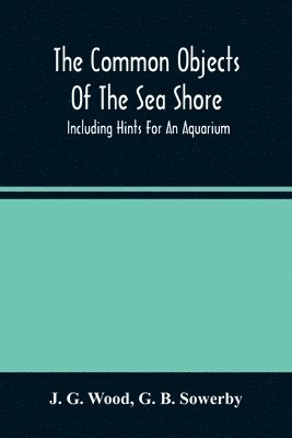The Common Objects Of The Sea Shore 1