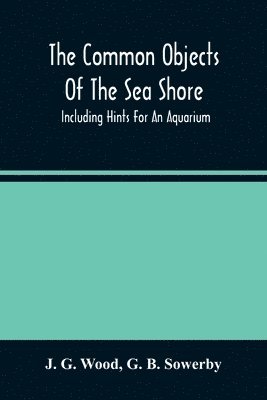 J G Wood, G B Sowerby, J. G. Wood, G. B. Sowerby - Common Objects Of The Sea Shore, Häftad