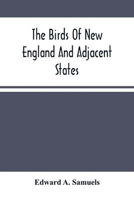 Birds Of New England And Adjacent States