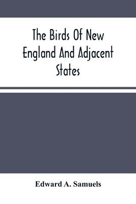 The Birds Of New England And Adjacent States 1