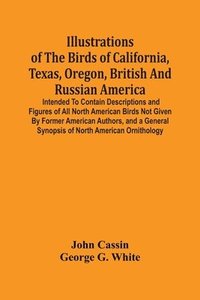 bokomslag Illustrations Of The Birds Of California, Texas, Oregon, British And Russian America.