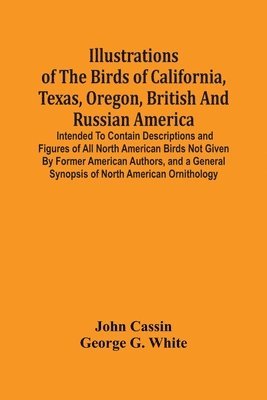 bokomslag Illustrations Of The Birds Of California, Texas, Oregon, British And Russian America.