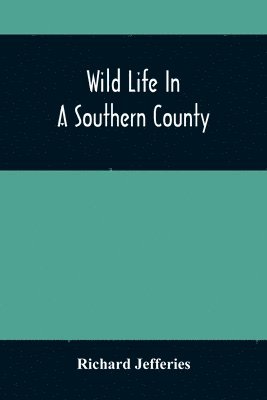 Wild Life In A Southern County 1