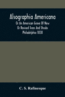 Alsographia Americana 1