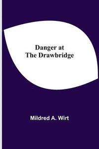 bokomslag Danger at the Drawbridge