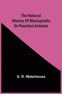 bokomslag The Natural History Of Marsupialia Or Pouched Animals