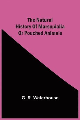 The Natural History Of Marsupialia Or Pouched Animals 1