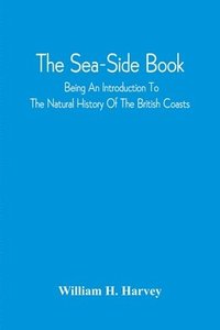 bokomslag The Sea-Side Book