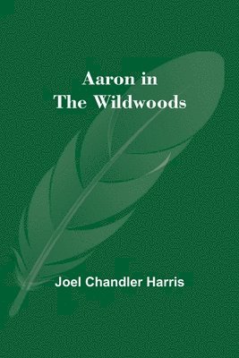 Aaron in the Wildwoods 1