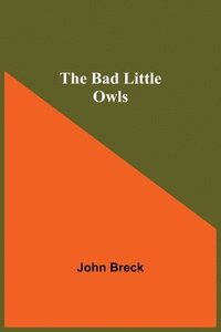 bokomslag The Bad Little Owls
