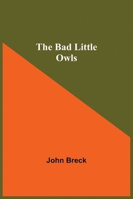 The Bad Little Owls 1