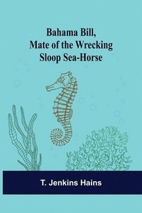 bokomslag Bahama Bill, Mate of the Wrecking Sloop Sea-Horse
