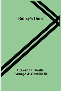 bokomslag Bailey's Dam