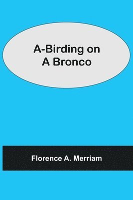 A-Birding on a Bronco 1