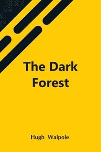 bokomslag Dark Forest