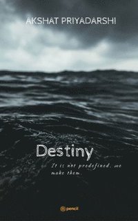 bokomslag Destiny