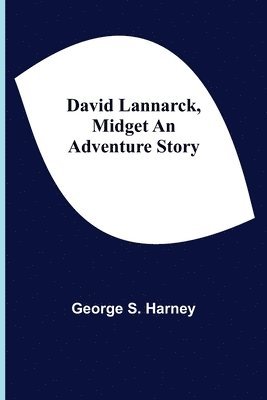bokomslag David Lannarck, Midget An Adventure Story