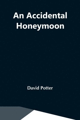 Accidental Honeymoon 1