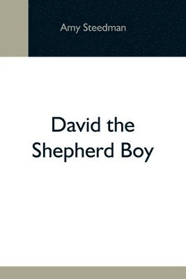 Amy Steedman - David The Shepherd Boy, Häftad
