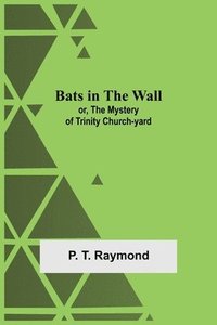 bokomslag Bats In The Wall; Or, The Mystery Of Trinity Church-Yard