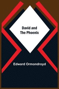bokomslag David And The Phoenix