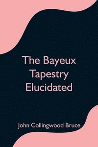 bokomslag The Bayeux Tapestry Elucidated