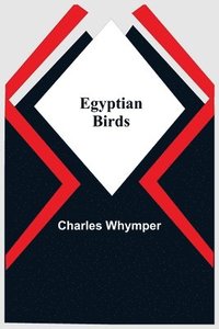 bokomslag Egyptian Birds