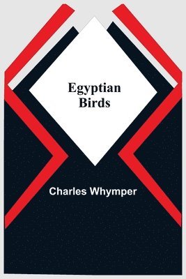 Egyptian Birds 1