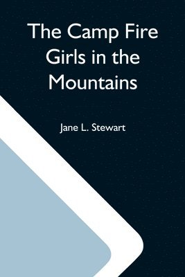 Camp Fire Girls In The Mountains; Or, Bessie King'S Strange Adventure