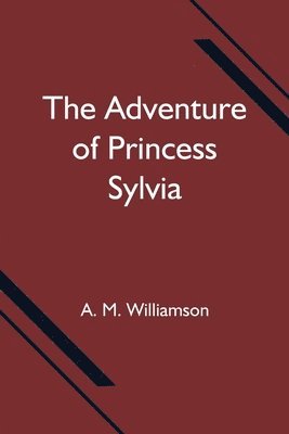 bokomslag The Adventure of Princess Sylvia