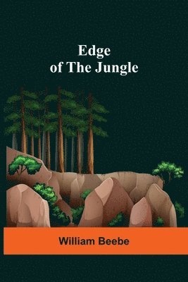 Edge Of The Jungle