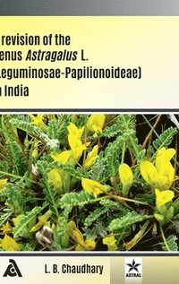 bokomslag Revision of the Genus Astragalus L (Leguminosae Papilionoideae) in India