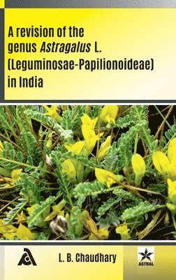 L B Chaudhary - Revision of the Genus Astragalus L (Leguminosae Papilionoideae) in India, Inbunden