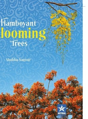 Flamboyant Blooming Trees 1