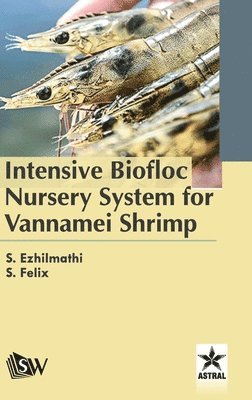 S Ezhilmathi - Intensive Biofloc Nursery System for Vannamei Shrimp, Inbunden