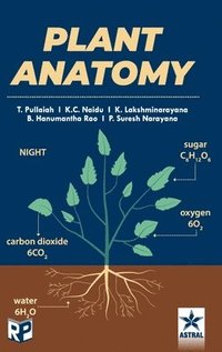 bokomslag Plant Anatomy