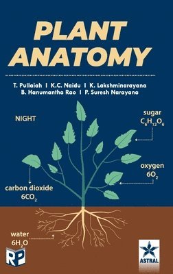 Plant Anatomy 1