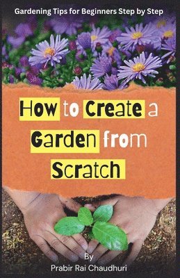 How to Create a Garden from Scratch