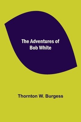 Thornton W Burgess - Adventures of Bob White, Häftad