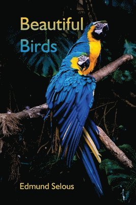 Edmund Selous - Beautiful Birds, Häftad