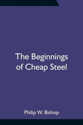bokomslag Beginnings of Cheap Steel