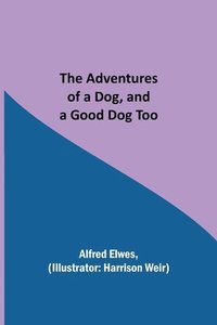 bokomslag The Adventures of a Dog, and a Good Dog Too