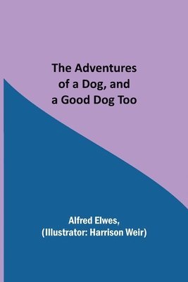 Adventures of a Dog, and a Good Dog Too