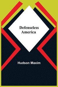 bokomslag Defenseless America